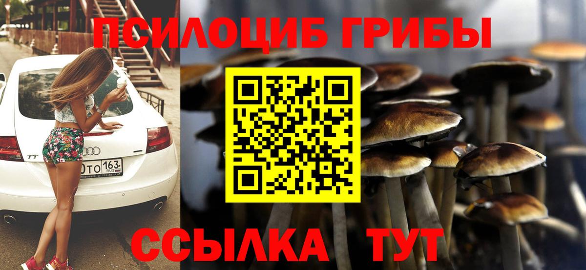 Псилоцибиновые грибы прущие грибы  Галлюциногенные грибы Cubensis  Вход с VPN  цены   Донецк 